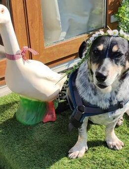 Terra - Notfall - - Weilmünster