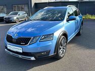 Skoda Octavia, 2.0 TDI Combi Scout Bi Winter, Jahr 2019 - Sonneberg