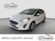 Ford Fiesta 1.1 Trend Applink - Steinfurt