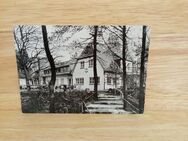 Ansichtskarte-AK-389-Steinkimmen. Naturfreundehaus Kimmerheide. - Nörvenich