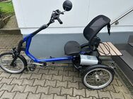 E-Bike Vanraam Easy Rider 3 (Behinderten und Senioren E-Bike) - Deggingen