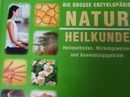 Buch Die große Enzyklopädie Natur Heilkunde - Verl Kaunitz