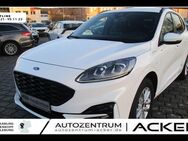 Ford Kuga, 2.5 ST-Line X 7Jahre, Jahr 2022 - Marburg