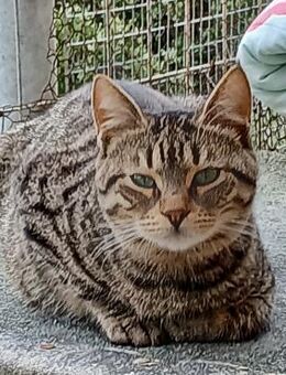 Lucks - Verzaubert dich im Nu! - Bergkirchen