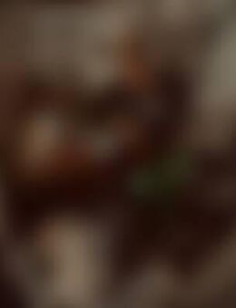 VUI*** - Prien (Chiemsee)