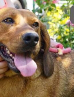 Lea Bringt keine wilden Abenteuer mit - Kissing