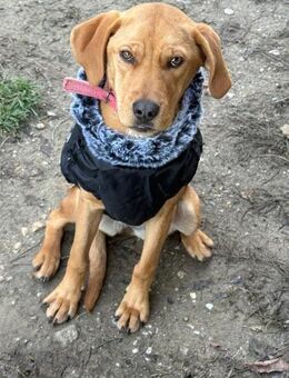 Ich heiße Kira ... mit Video - Frankfurt (Main)