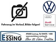 VW Golf, 2.0 TSI R, Jahr 2021 - Lastrup