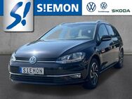 VW Golf, 1.0 TSI VII Join AppConnect, Jahr 2018 - Lengerich (Nordrhein-Westfalen)