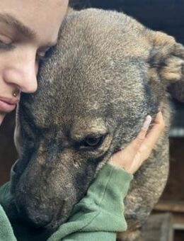 KIMON~ sein Blick trifft mitten ins Herz - Duisburg