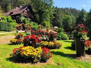 Historisches Jagd- und Forsthaus im Stile eines Schwarzwaldhofes, mit großem Park direkt am Hochwald - Bad Rippoldsau-Schapbach