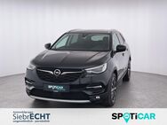 Opel Grandland, 1.6 Ultimate, Jahr 2021 - Holzminden