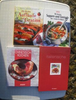 53 Kochbücher zus. nur 5,- Bücher Kochen Backen Dr. Oetker Brigitte - Flensburg