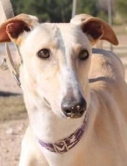 Clarina ist anfangs schüchtern - Donaueschingen