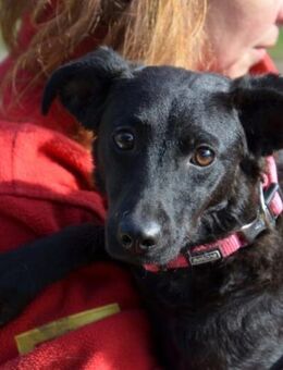 Sensible Leesha sucht ihre Menschen - Essen