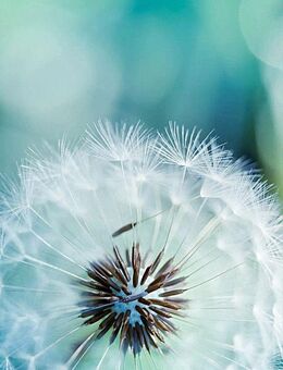 Tierkommunikation - Duisburg