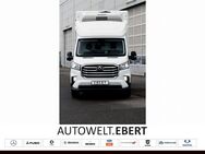 Maxus Deliver 9, FG L3H0 Spier Kühlkofferaufbau, Jahr 2022 - Weinheim