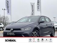 VW Polo, 1.0 TSI LIFE APP, Jahr 2024 - Mindelheim