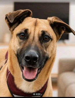 Hallo Welt,ich bin Iskierka✨ - Nettetal