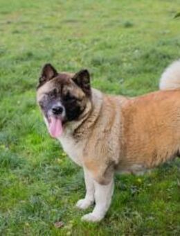 256598 - gemeinsame Zukunft starten - Overath