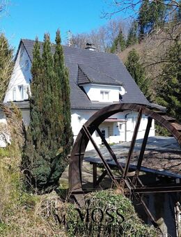 Es klappert die Mühle am rauschenden Bach.. - Hasel