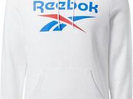 Reebok Kapuzensweatshirt