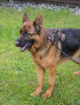 CLINT - endlich richtig Kontakt haben - Overath