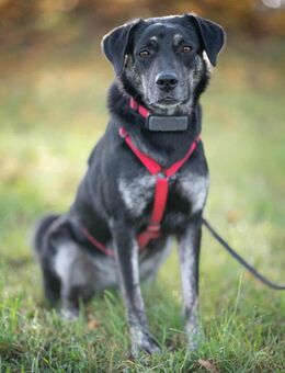 Sonia - ein Sonnenschein - Löwenberger Land