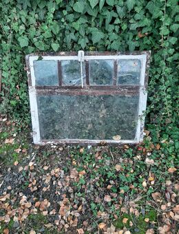 Altes Stall Sprossen Fenster - Büdingen