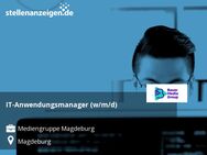 IT-Anwendungsmanager (w/m/d) - Magdeburg