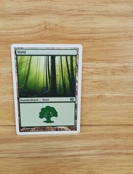 Magic The Gathering-Sammelkarte-Wald- - Nörvenich
