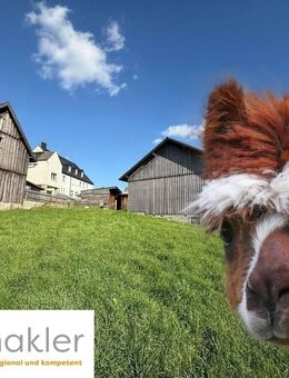 Alpakas und Co - 6.000 m² Wiese mit Zweifamilienhaus - in bester Lage Stammbach - Stammbach