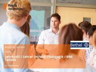 Lehrkraft / Lehrer (m/w/d) Pädagogik / BNE Teilzeit - Hannover