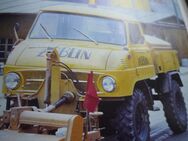 Unimog model 411 421gesucht für waldarbeiten brennholz täglich arbeit fahrbar motor getriebe ok - Neunkirchen (Sand)