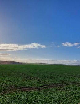 Genießen Sie die schöne Aussicht auf Ihrem Balkon. - Braunsbedra