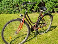 Rad,fahrrad 28 er damenrad - Gräfelfing