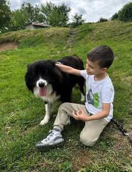 Freundlich + sozial = JOE wartet auf ♥️ - München