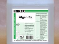 Linker Algen-Ex Moos- & Schimmelvernichter 10,1 L inkl. Versand - Sprockhövel Zentrum