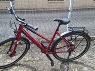 Cube Travel Sport Trekkingrad neuwertig - Stadecken-Elsheim