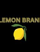 Marketingagentur München – Lemon Brand | Kreative Lösungen für Ihr Business - Jetzt anrufen 0211-91576988 in 40597