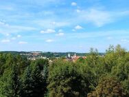 1 Raum Wohnung mit Blick ins Grüne - Döbeln