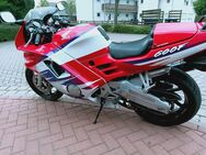 Verkaufe Honda CBR 600 F - Königslutter (Elm)