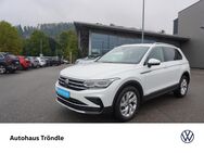 VW Tiguan, 2.0 TSI Elegance, Jahr 2023 - Schopfheim