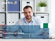 Junior Financial Analyst - Rothenburg (Tauber)