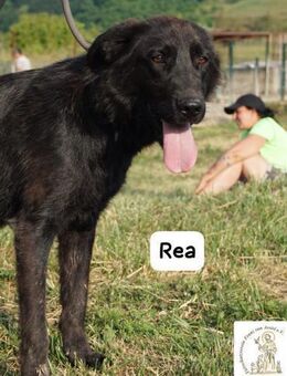 Rea Bewegung, Spaß und Neugier ... - Kissing