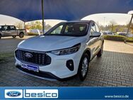 Ford Kuga, Titanium iACC, Jahr 2024 - Glauchau