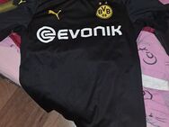 BVB T-Shirt Trikot - Nordenham