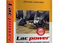 Premium Lac Power Sano Energievitamine für Milchkühe Set43 - Wuppertal