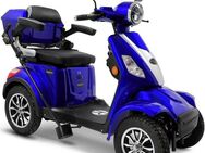 Rolektro Elektromobil Rolektro E-Quad 25 V.3, Lithium Akku, 25 km/h, (mit Topcase)