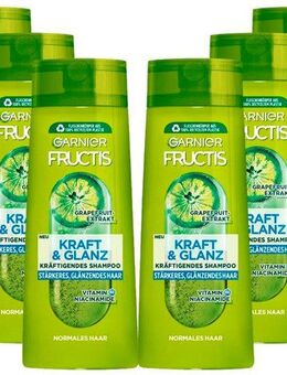 GARNIER Haarshampoo Garnier Fructis Kraft & Glanz Shampoo, Set, 6-tlg., Stärkt das Haar und verleiht Glanz